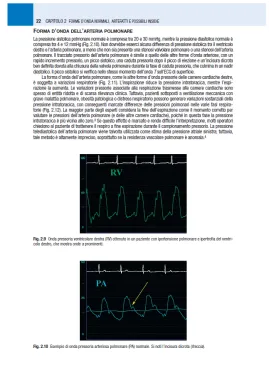Monitoraggio emodinamico in area critica. Il manuale