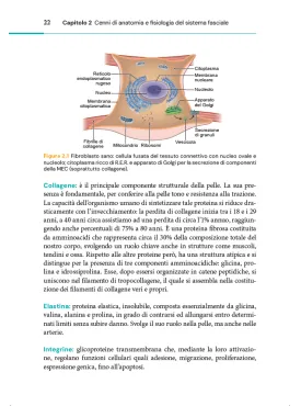 Il trattamento delle cicatrici