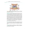 Il trattamento delle cicatrici