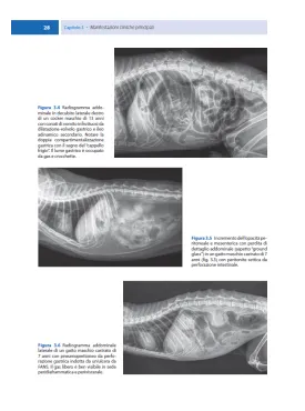 Gastroenterologia del cane e del gatto