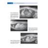 Gastroenterologia del cane e del gatto