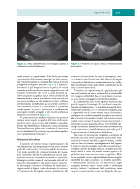 Gastroenterologia del cane e del gatto