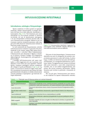 Gastroenterologia del cane e del gatto