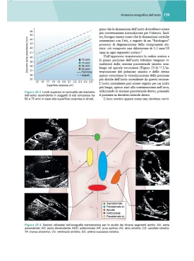 Ecocardiografia clinica