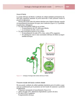 Nefrologia pediatrica