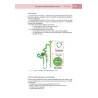 Nefrologia pediatrica