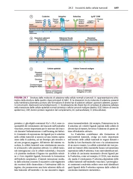 Patologia generale & Fisiopatologia generale