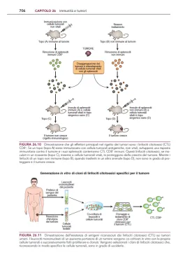 Patologia generale & Fisiopatologia generale