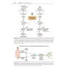 Patologia generale & Fisiopatologia generale