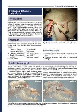 Anestesia locoregionale del cane e del gatto. Il Manuale NYSORA®