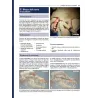Anestesia locoregionale del cane e del gatto. Il Manuale NYSORA®