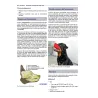 Anestesia locoregionale del cane e del gatto. Il Manuale NYSORA®