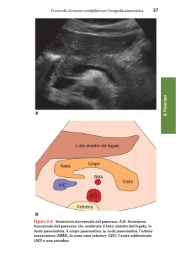 TASCABILE DI ECOGRAFIA ADDOMINALE Anatomia e protocolli