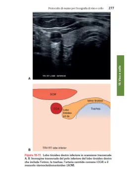 TASCABILE DI ECOGRAFIA ADDOMINALE Anatomia e protocolli