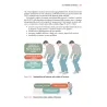 Manuale Operatore Socio Assistenziale OSA