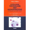 Citologia testicolare per agoaspirazione