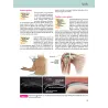 Anatomia ecografica – L’essenziale