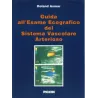 Guida all'esame ecografico del sistema vascolare arterioso