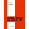 Le sindromi canalicolari alla caviglia e al piede