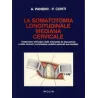 La somatotomia longitudinale mediana cervicale