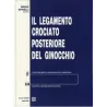Il legamento crociato posteriore del ginocchio