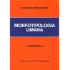 Morfotipologia Umana