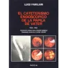 EL CATETERISMO ENDOSCOPICO DE LA PAPILA DE VATER
