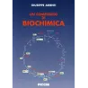 Un Compendio di Biochimica