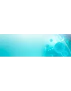 Genetica