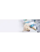 Veterinaria