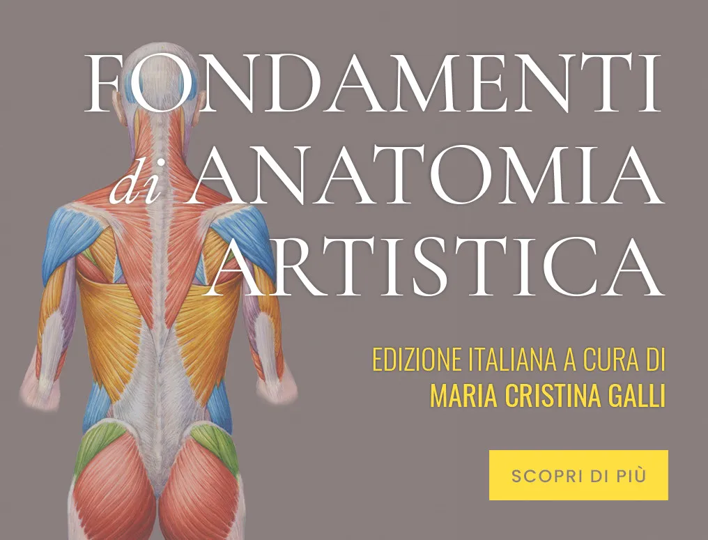 FASCIAL MANIPULATION® Superficial fascia and systems - Practical